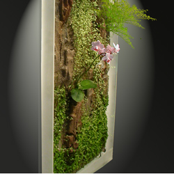 Vertical planted frame